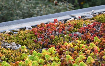 the cost of Shaftesbury green roof installation
