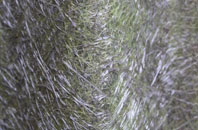 Shaftesbury fibreglass roof work